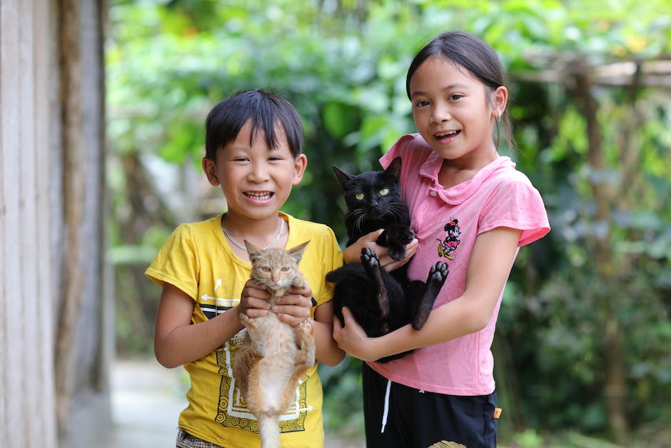 Siamese Cats and Children: Tips for a Safe and Happy Relationship